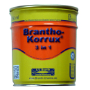 Brantho Korrux "3 in 1" 0.75 liter can lime green / reseda green RAL 6011