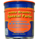 BRANTHs 2K (M) protective varnish